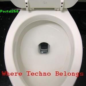 Where Techno Belongs (2008)